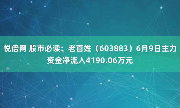 悦倍网 股市必读：老百姓（603883）6月9日主力资金净流入4190.06万元