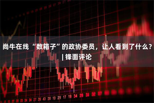 尚牛在线 “数箱子”的政协委员，让人看到了什么？| 锋面评论